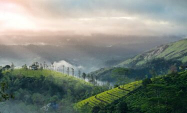 Breathtaking view of lush green hills and mist in Vagamon, Kerala.