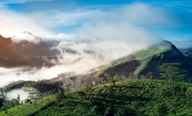 Kochi Munnar Alleppey tour