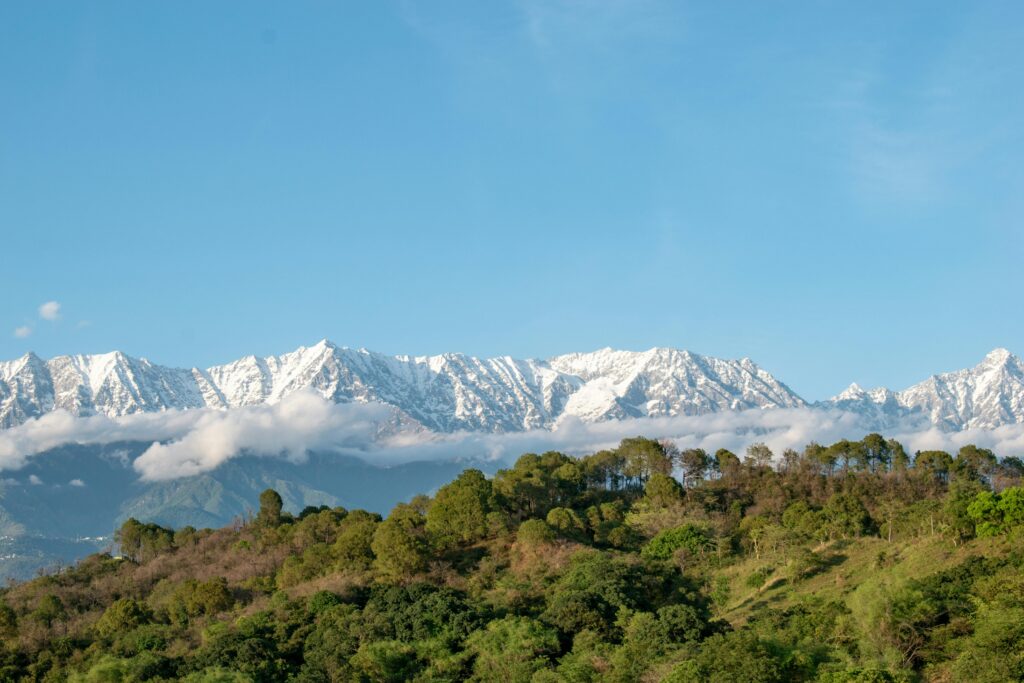 Breathtaking view of snowy mountain peaks contrasting with lush green forest under a clear blue sky.