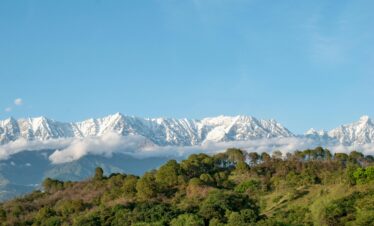 Breathtaking view of snowy mountain peaks contrasting with lush green forest under a clear blue sky.