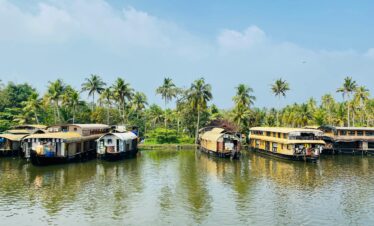 Serene view of houseboats on Kerala's lush backwaters under a bright sky.