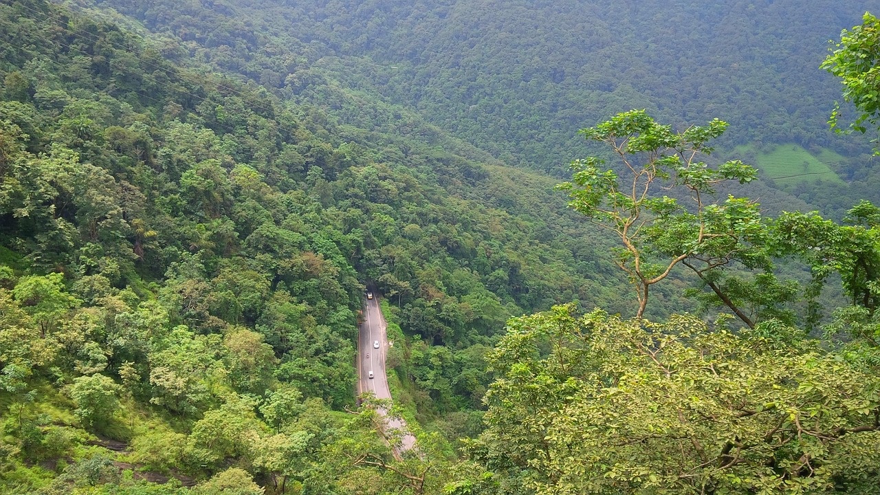 Wayanad Tour