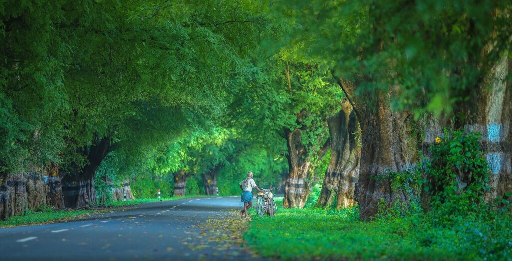 india, tamilnadu, tamil, green, forest, farmer, cycle, portrait, travel, kodaikanal, formers, nature, chennai, mudumalai, ooty, cumbum, mahabalipuram, road, roads, tamilnadu, tamilnadu, tamilnadu, chennai, chennai, ooty, ooty, ooty, ooty, ooty