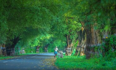 india, tamilnadu, tamil, green, forest, farmer, cycle, portrait, travel, kodaikanal, formers, nature, chennai, mudumalai, ooty, cumbum, mahabalipuram, road, roads, tamilnadu, tamilnadu, tamilnadu, chennai, chennai, ooty, ooty, ooty, ooty, ooty