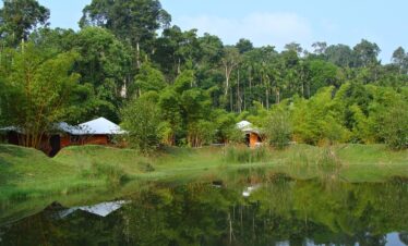 Coorg Tour Package