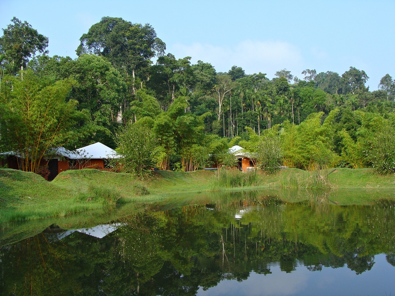 Coorg Tour Package
