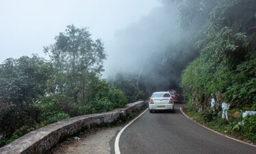 morning, fog, mystical, mood, late summer, forest path, nature, trees, forest, mysterious, mysticism, hope, hiking, ooty, rest, silent, peaceful, cloud, chill, ghat road, narrow road, magical, coonoor, winter, cold, romantic, ooty, ooty, ooty, ooty, ooty