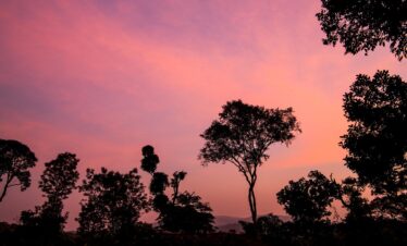 sunset, coorg, karnatka, pink, coffee, poetry, cake, romantic, happy birthday, dusk, coorg, coorg, coorg, coorg, coorg