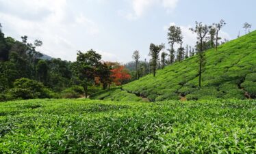Chikmagalur Tour