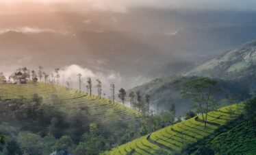 Munnar Tour