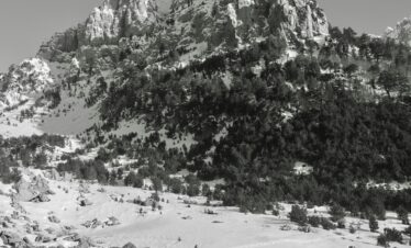 pexels-photo-31403126-31403126.jpg